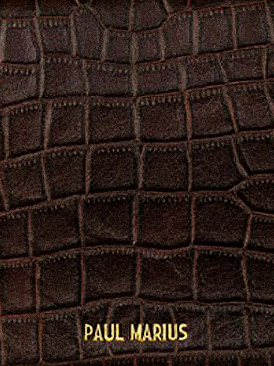 Dark Brown Leather Baguette Bag for Women - LeBaguette Alligator Tiger's Eye | PAUL MARIUS