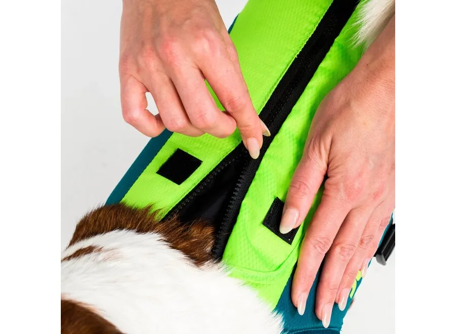 Jobe Pet Vest Lime/Teal