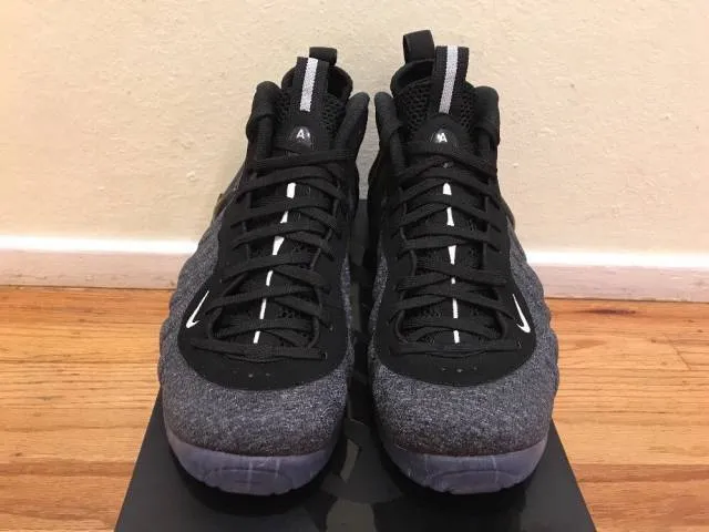 Nike Air Foamposite Pro Tech Fleece