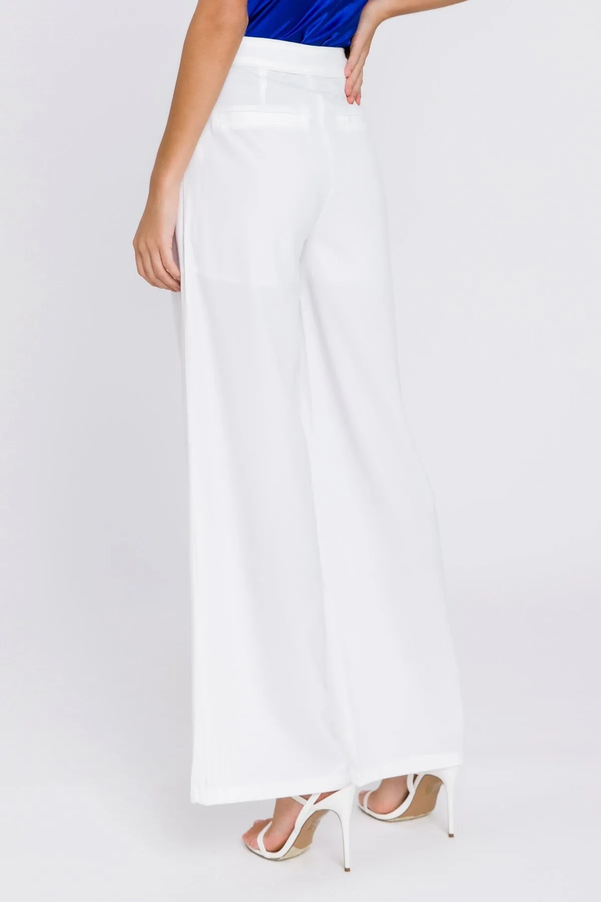 Pleated Wide Leg Pants